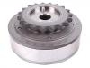 Zahnrad, Nockenwelle Camshaft Gear:06F 109 088 J