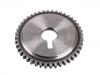 Camshaft Gear:13024-6N211